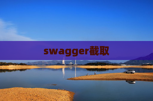 swagger截取